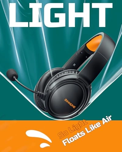 BW02-BT Wireless Headset