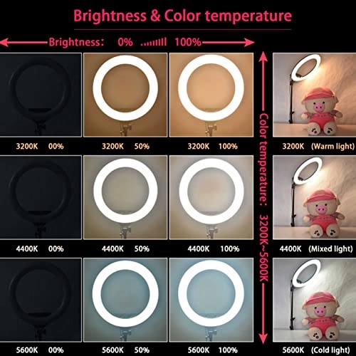 LED Ring Light - 18-inch