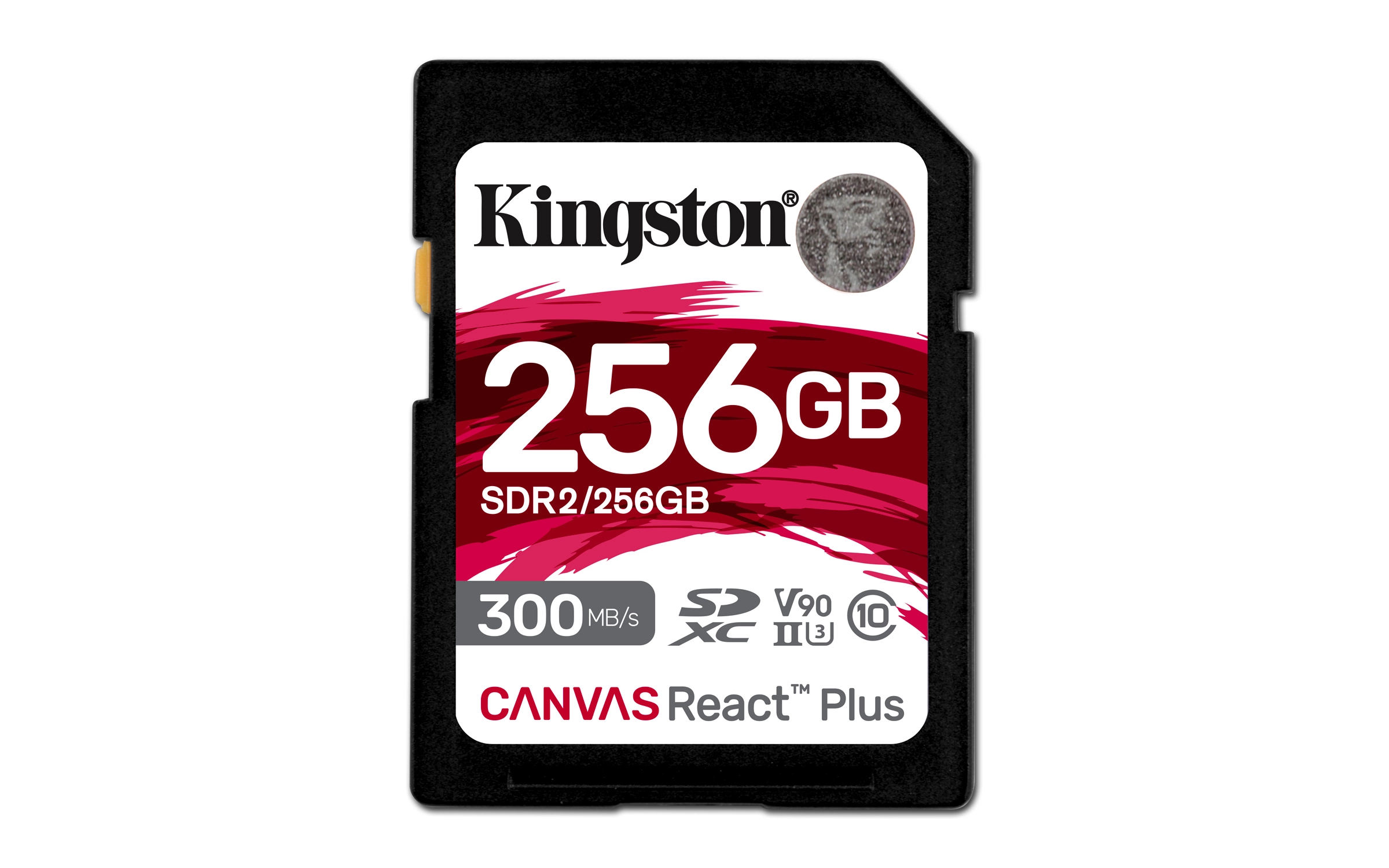 Canvas Select Plus - 256 GB