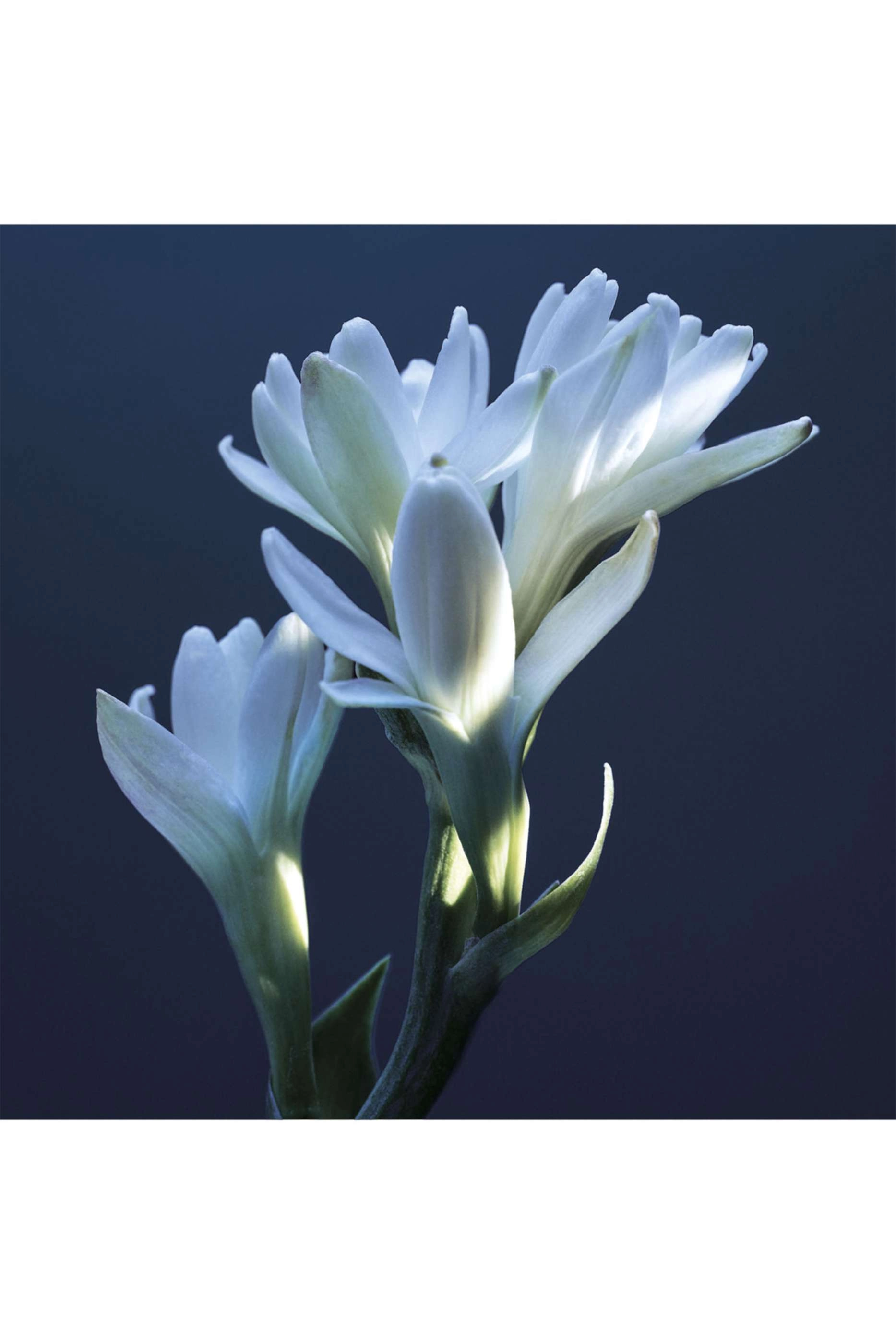 Tubereuse Lazuli Eau de Parfum 150ml