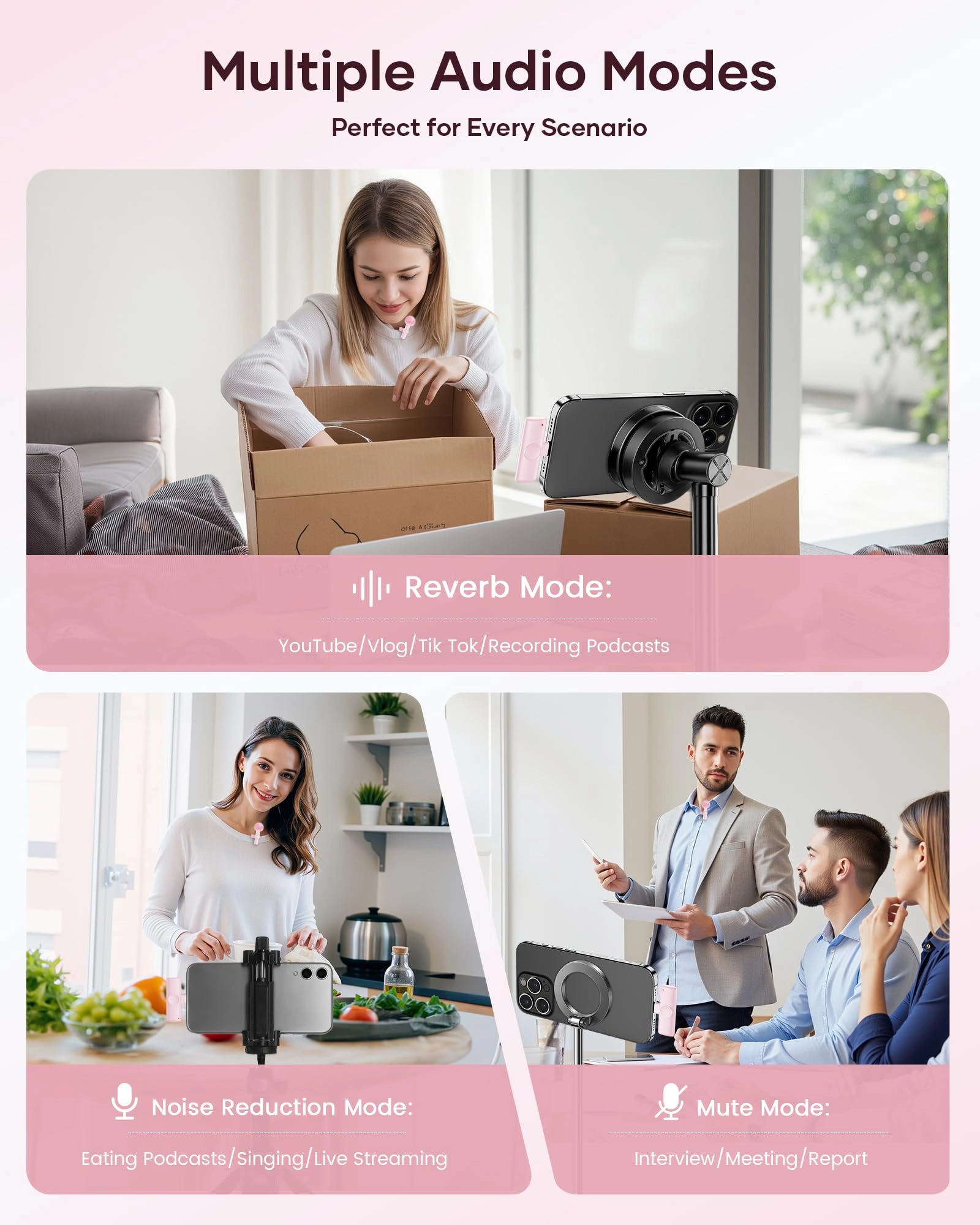 mic012 - 2 2.4Ghz Wireless