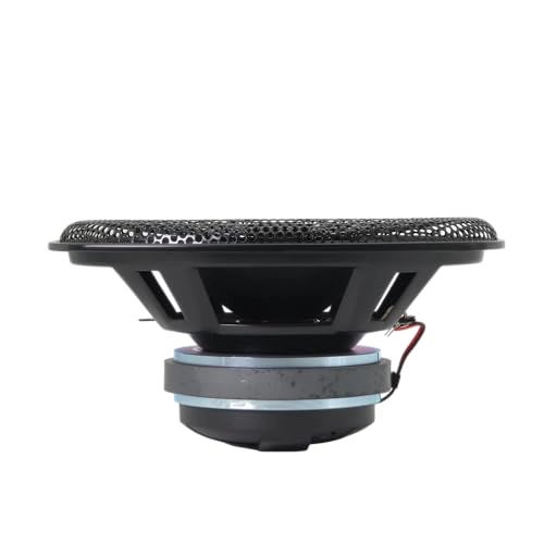 WZ69Si - 6x9-Inch Mid-Range + Driver