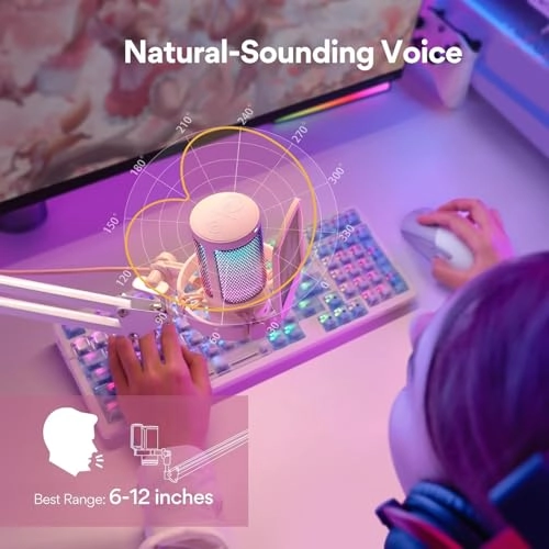 DGM20S USB Microphone