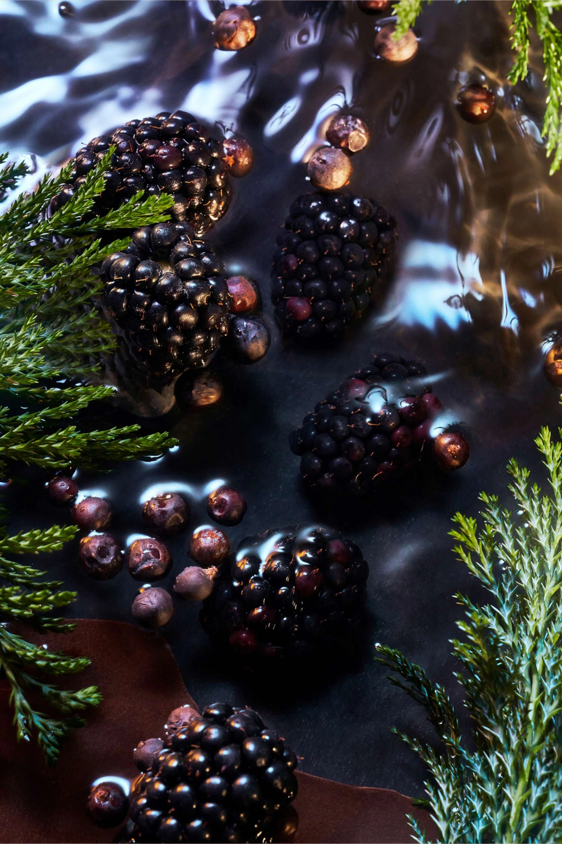 Elysium Noir Pour Homme Eau de Parfum 100ml