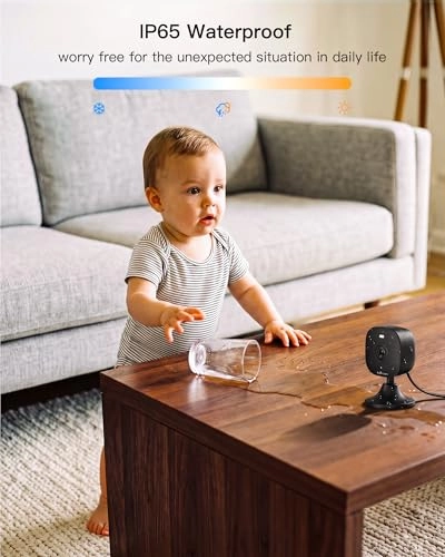 Indoor Security Camera 2K