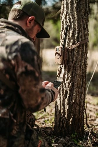 Manifest 2.0 - 16MP Pack