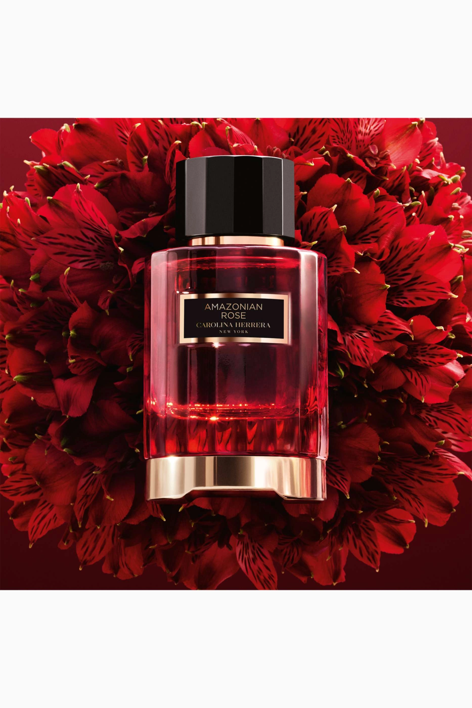 Amazonian Rose Eau de Parfum - 100ml