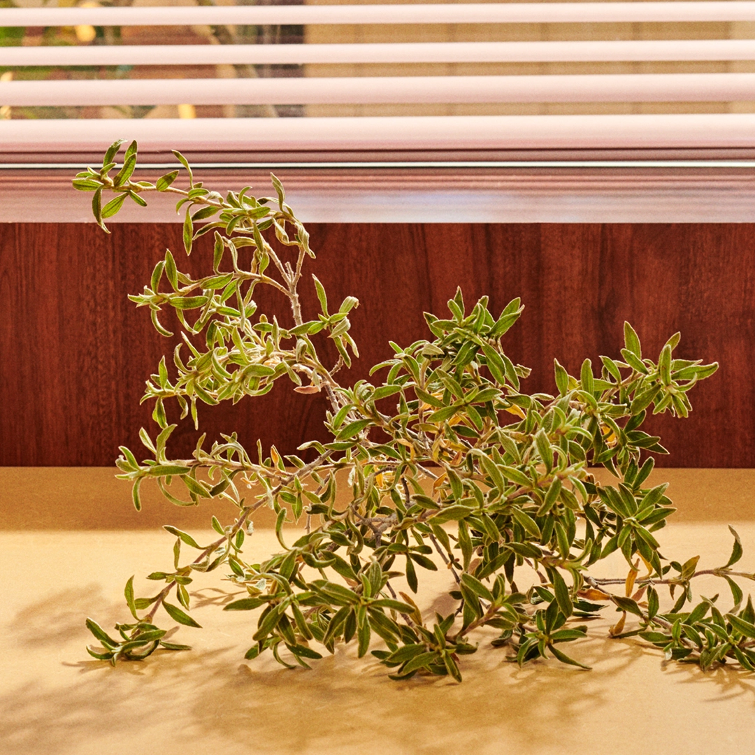 Guilty Pour Homme Eau de Parfum 90ml