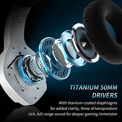 BW01-BT Wireless Headset