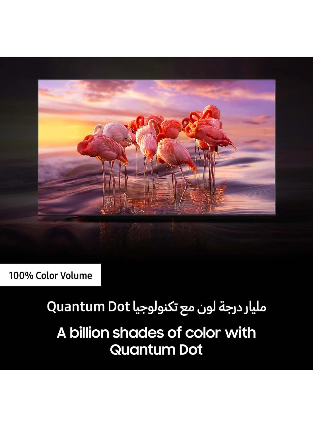 QA65Q60BAUXZN - 65 inch