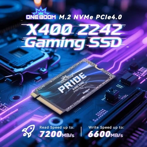 X400 - 512GB M.2 2242