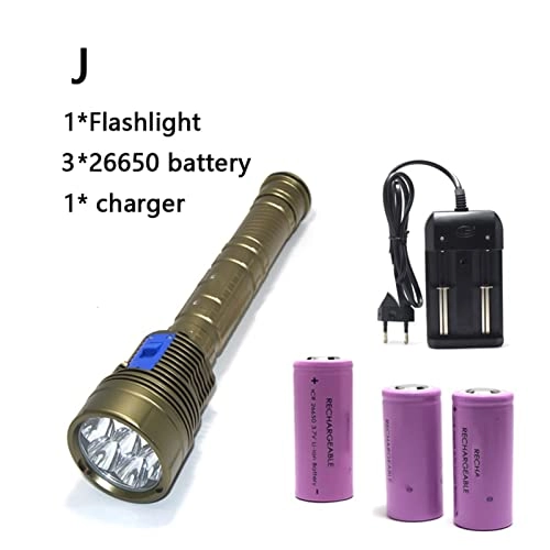 Professional Submersible Light