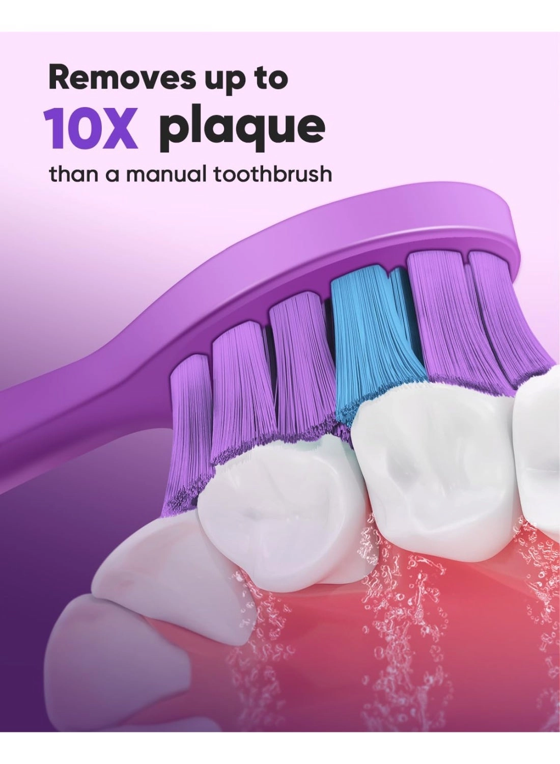 DY156 - 3 Pack PURPLE