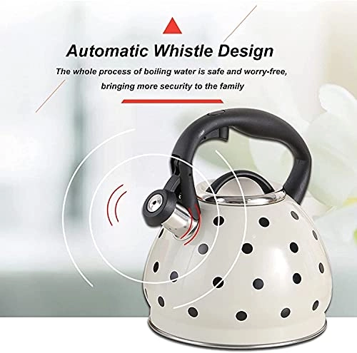 Whistling Teapots Camping CoffeeTea Kettle - 304 stainless steel 3L