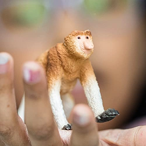 Proboscis Monkey - Wild Life - 3 anni