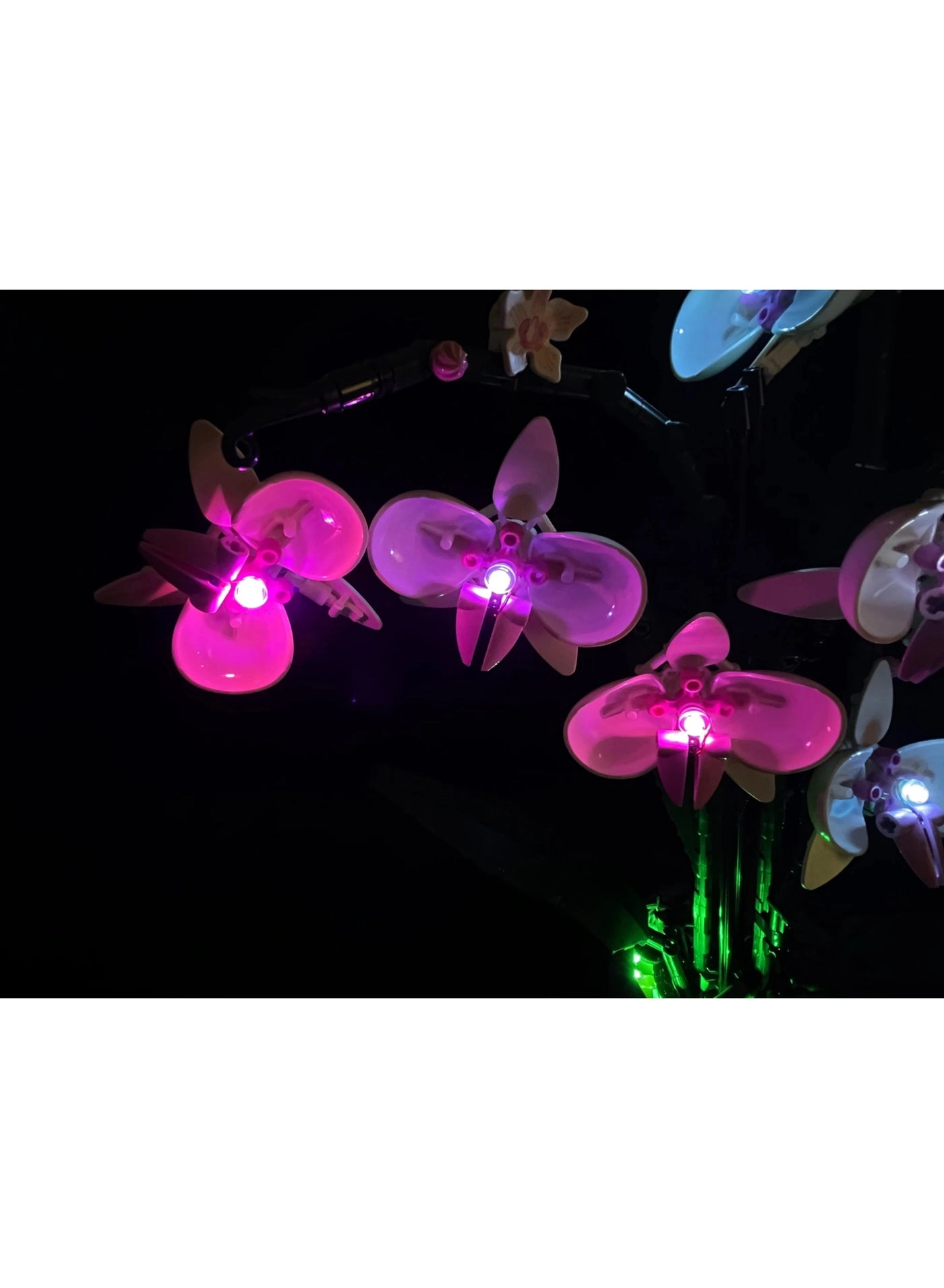 LED Light Kit - Creator Orchid Compatible with 10311