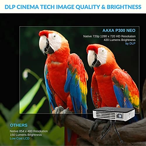 P300 Neo KP-602-01 420 Lumens