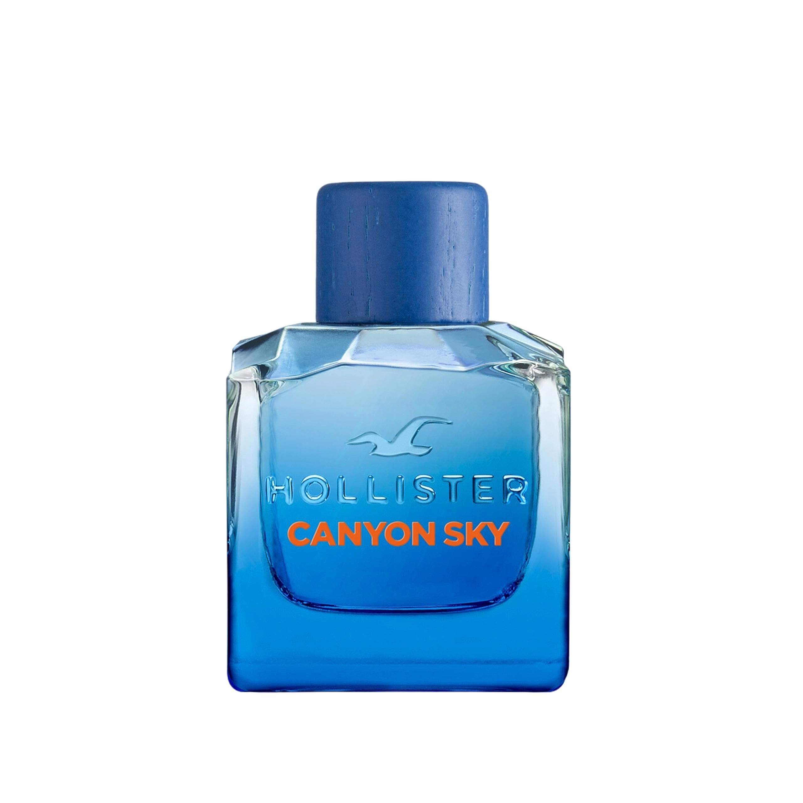 Hollister Canyon Sky Eau de Toilette 100ml