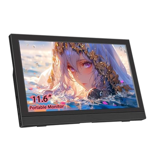 DE-116-1366*768-2TYPE-C - 11.6 Inches 1366 x 768 Pixels