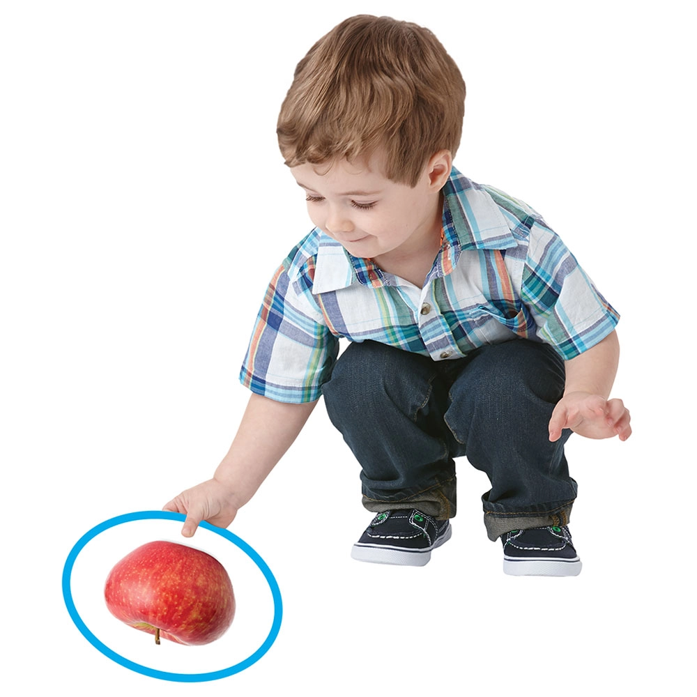 Seek-A-Boo! - Suitable for 18 months & above