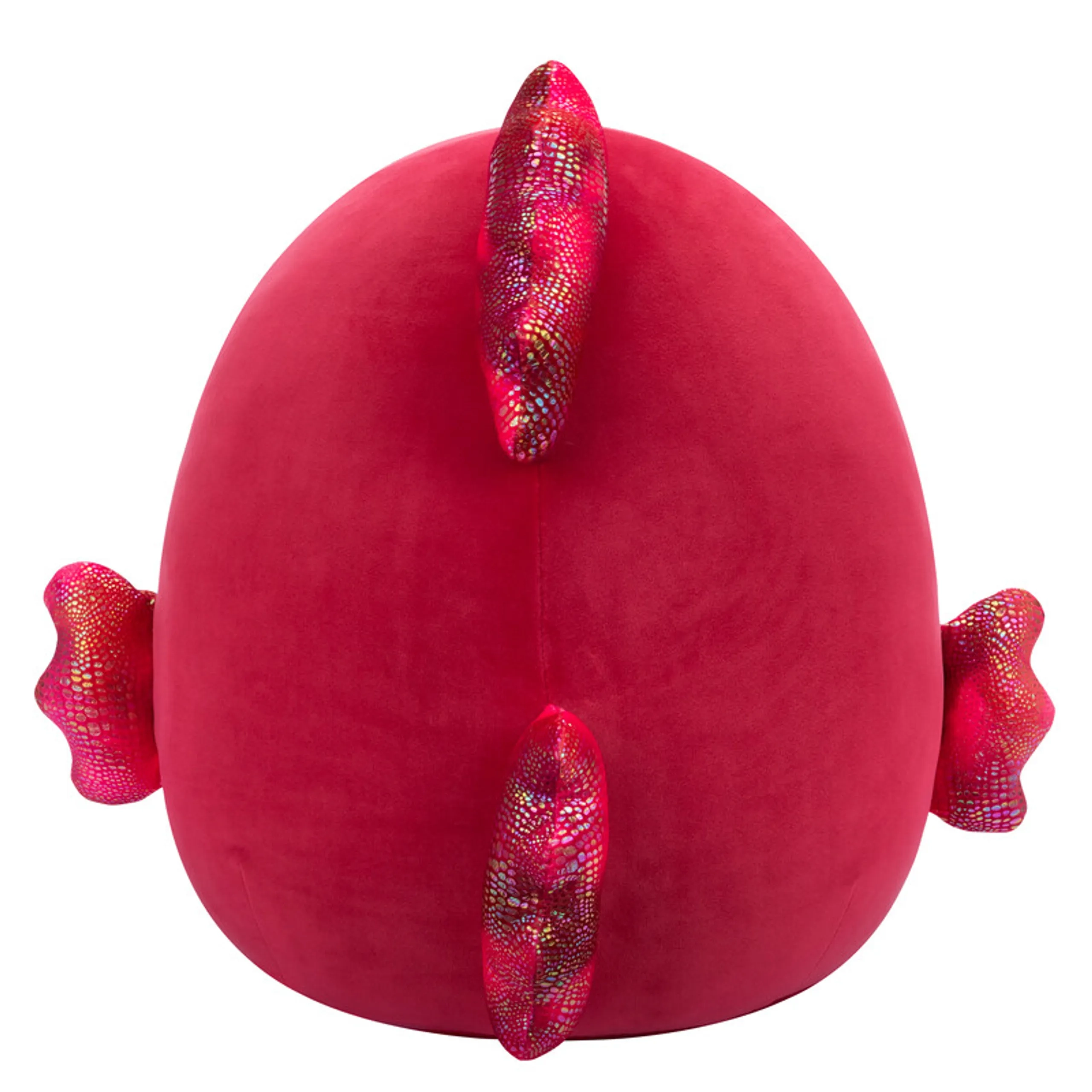 Barella Raspberry Betta Fish