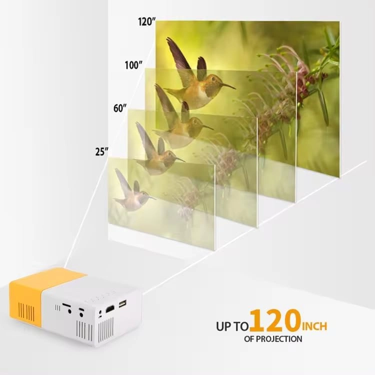 TV-Mini-Projector - 320 x 240 pixels