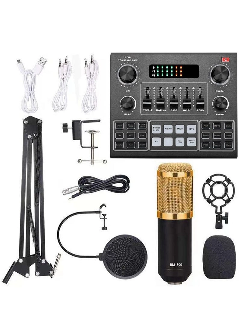 Generic Live V9 + BM800 Wired Microphone