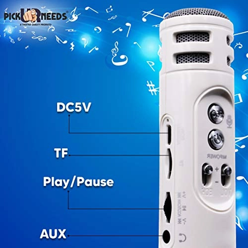 WS-1698 - Karaoke Mic Wireless Bluetooth