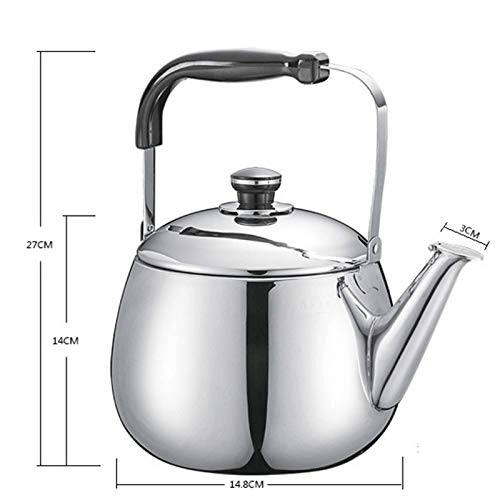 Stovetop Induction Whistling Kettle - 5L