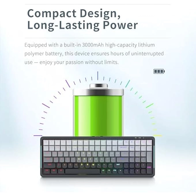 RK100 - Wired/Wireless