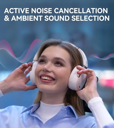 WH950NB Wireless Headphone