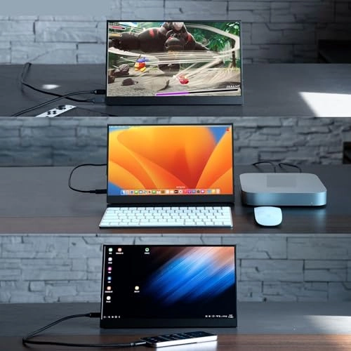 Portable Display - 1WLBPJ9KHMTZ 13.3 inches 1920*1080