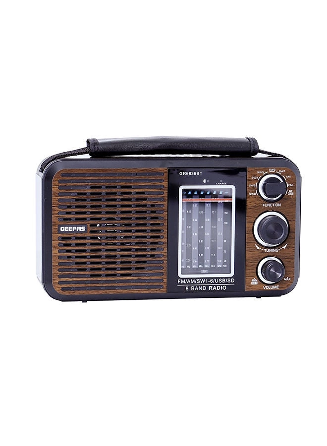 GR6836BT - FM Radio