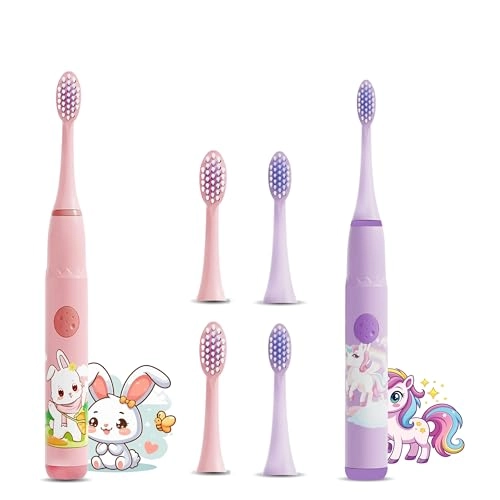 Sonic Electric Toothbrush - 4 Modes 3 Brush Heads Rechargeable