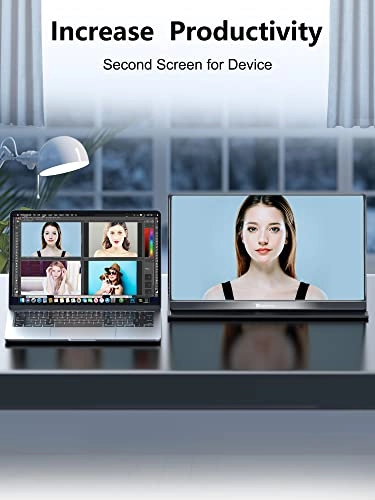 M1701 - 2560 x 1440 Pixels 17.3"