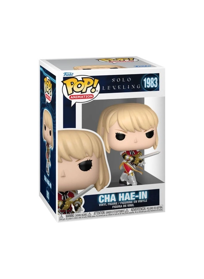 Cha Hae-In - Solo Leveling
