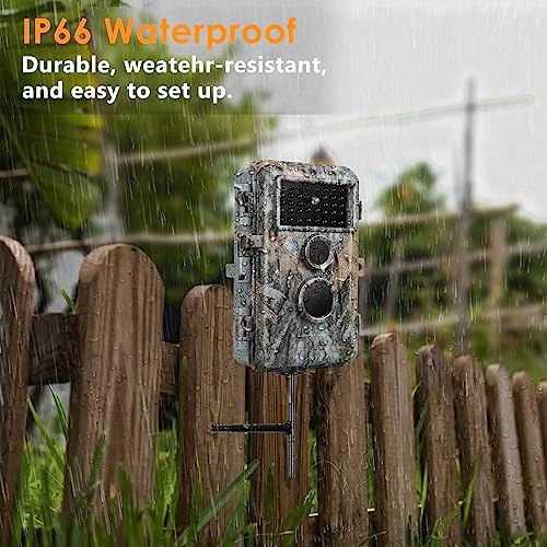 TrailCam-Basic - 16MP