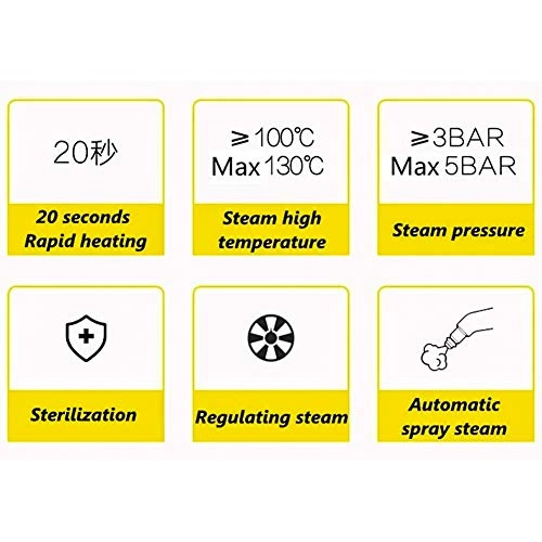 Steam Cleaner - greater than 5KGF/CM2