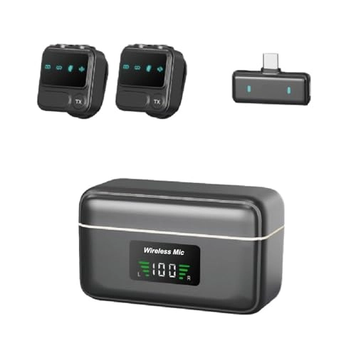 ufidvznmgt - 2 microphones 2.4G