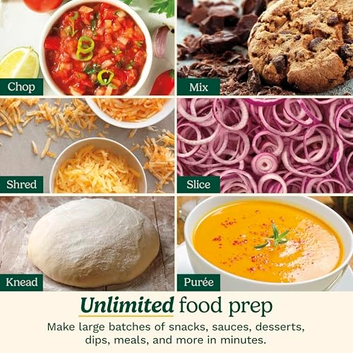 Continuous Feed Food Processor - 9-Cup 350 watts