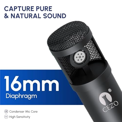 BM 800 XLR+3.5mm-Mini-Jack Microphone