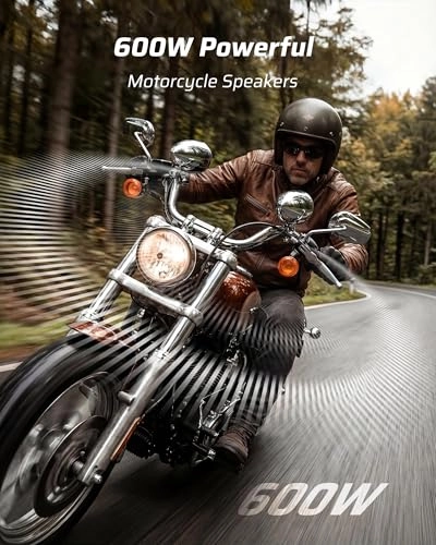 MS-2-SI - 2 speakers