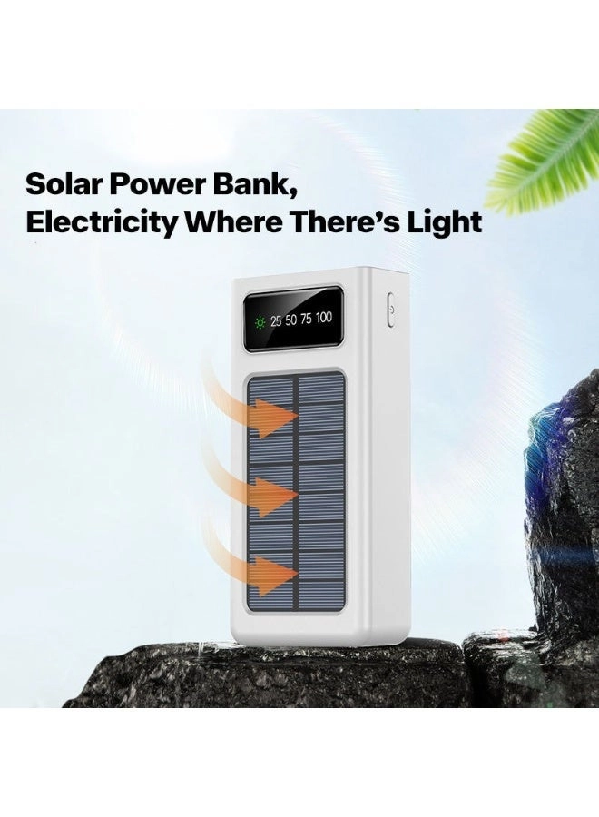 PL309 - 30000mAh 22.5W