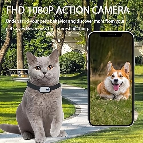 Cat Collar Camera