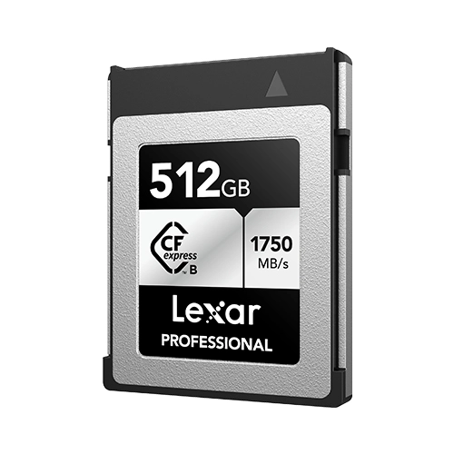 Professional CFexpress Type B Card GOLD Series - 512GB