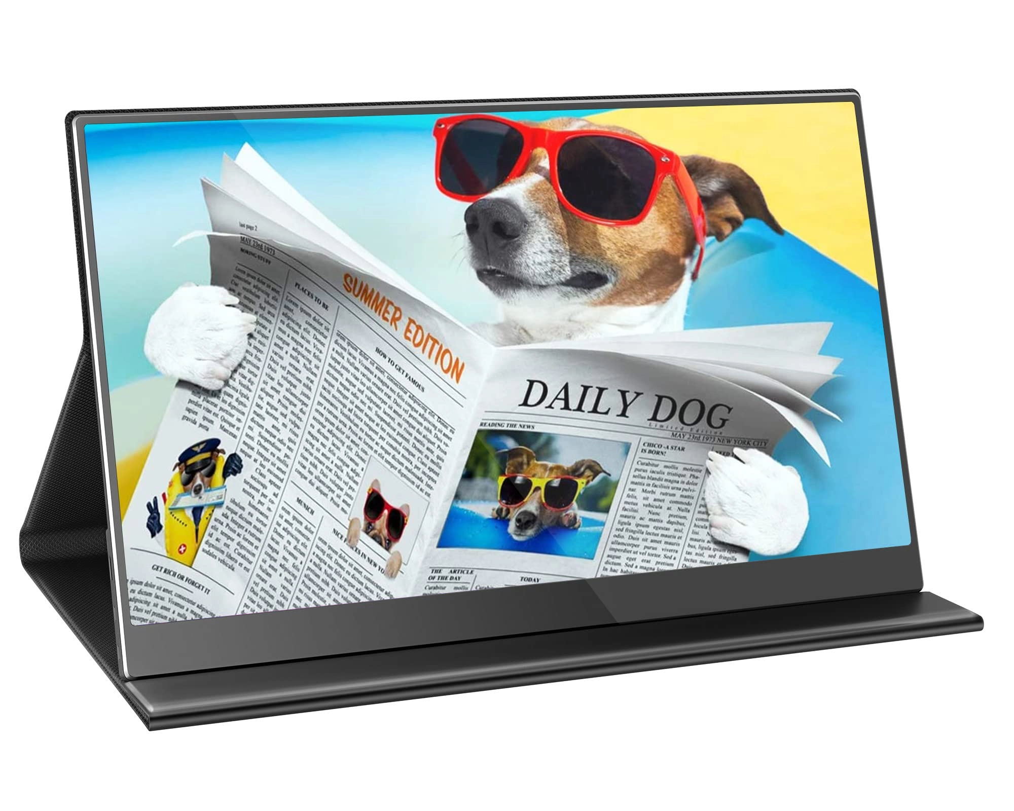 Portable Monitor - FHD 15.6 Inch