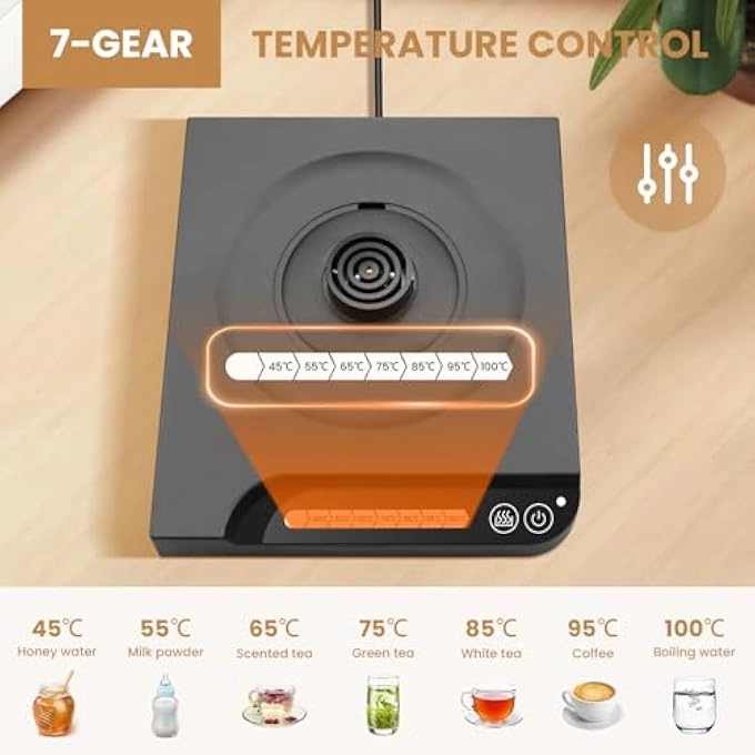 Gooseneck Electric Kettle