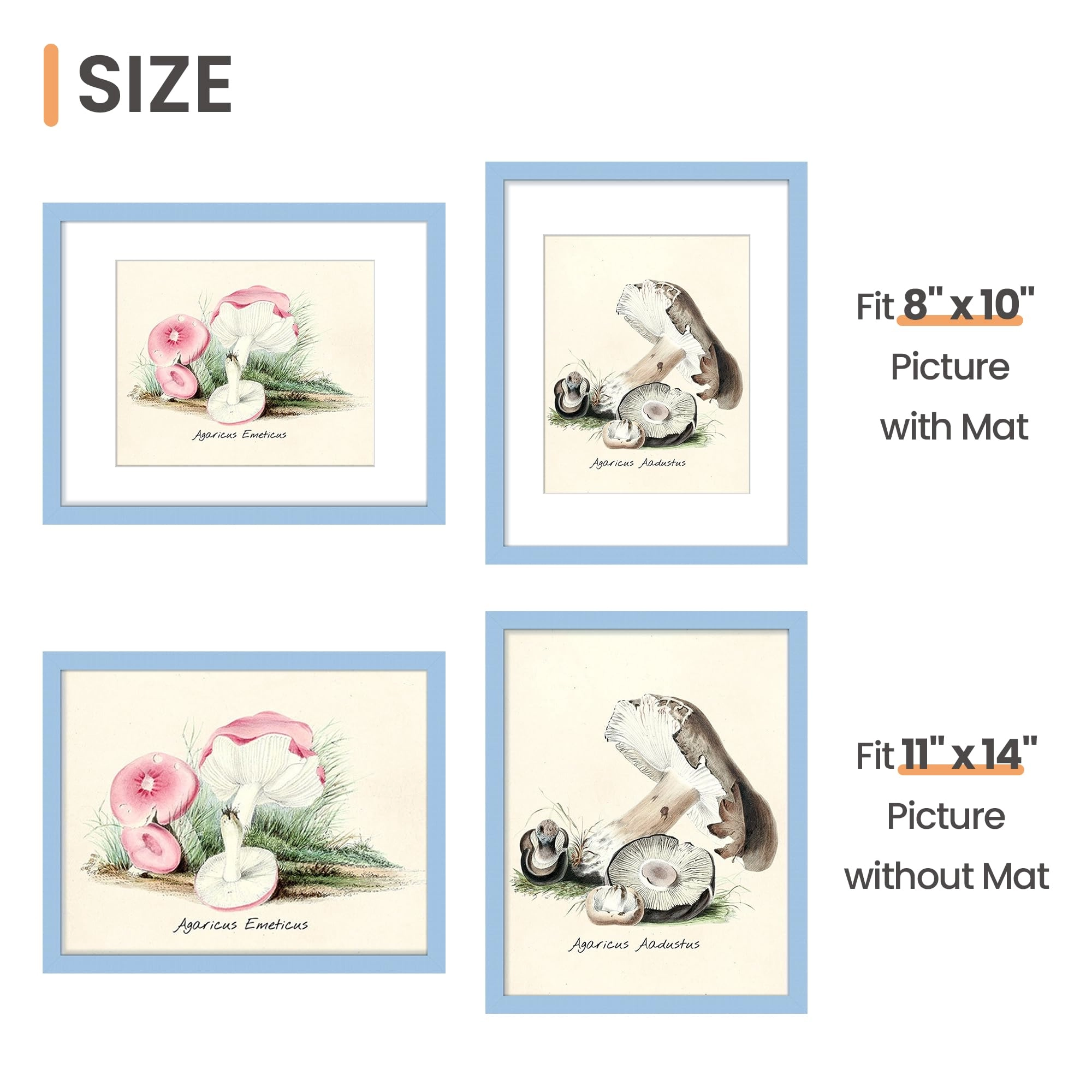 Picture Frame - 11x14 1