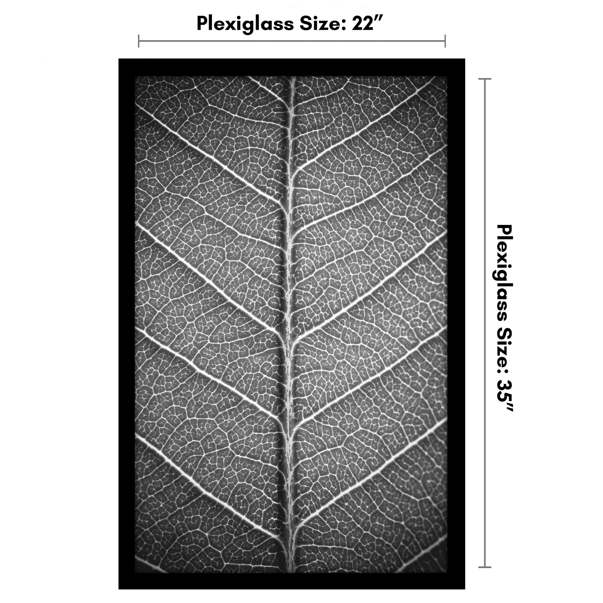 Poster Frame - 22X35