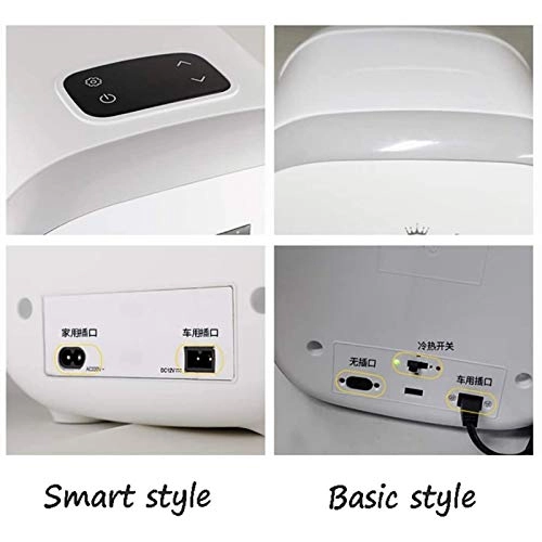 Portable Mini Refrigerator - Car Two-Purpose